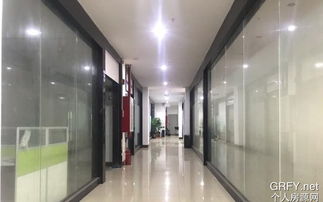 区域性企业与服务平台的价值共振 从广州房产到东莞光学，多元业态的共生之道